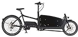 Prophete Unisex - Erwachsene Cargo E-Bike 2.0 Elektrofahrrad, schwarz matt, RH 48 cm