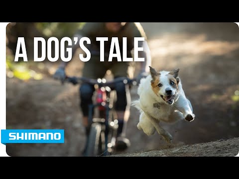 A Dog&#039;s Tale | SHIMANO