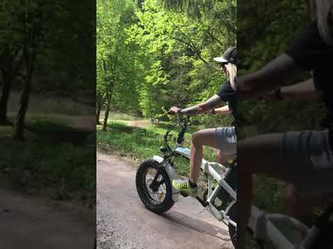 Fattire E-Bike Klapprad Palma von myvélo ✅