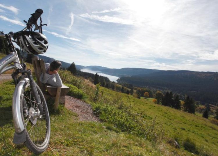 Fahrradweg | Gesundheit | Schwarzwald - jpg - eBikeNews
