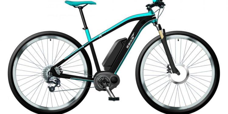 EBIKE R003 / Foto: Ebike.Das Original