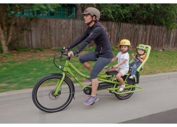 Spicy Curry - Lasten-E-Bike mit Kindersitzen