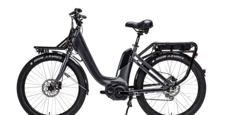 Gepida Cargo e-Bike Seitenansicht