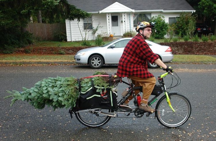 Weihnachtsbaum mit dem (e-)Bike transportieren