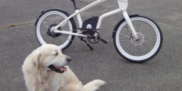 YouMo Cruiser e-Bike Test Cool mit Hund