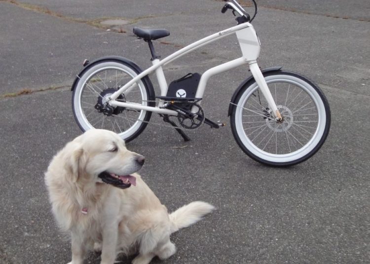 YouMo Cruiser e-Bike Test Cool mit Hund