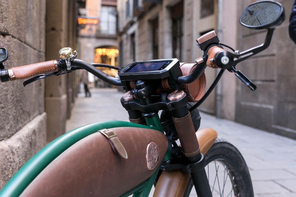 Rayvolt Cruzer e-Bike EIVA Display