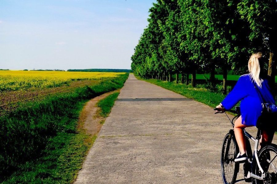 Bahn Fahrrad Mitnehmen Kosten