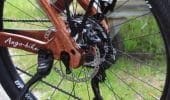 E-Bike | Herren | Mahagoni - IMG 6764.JPG8 - eBikeNews
