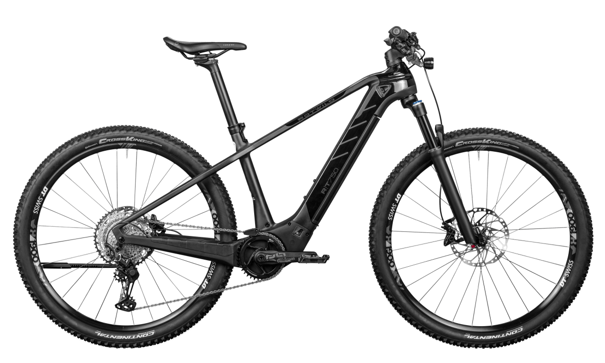 Rotwild E-Bikes 2020: Cross Over R.T750 Core in der Seitenansicht