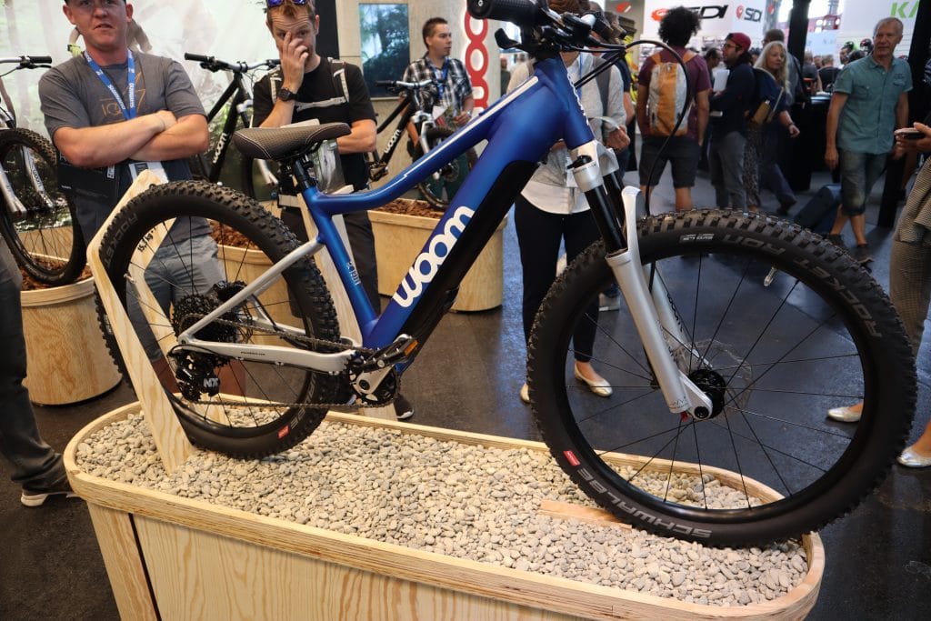 E-Mountainbike - IMG 2320