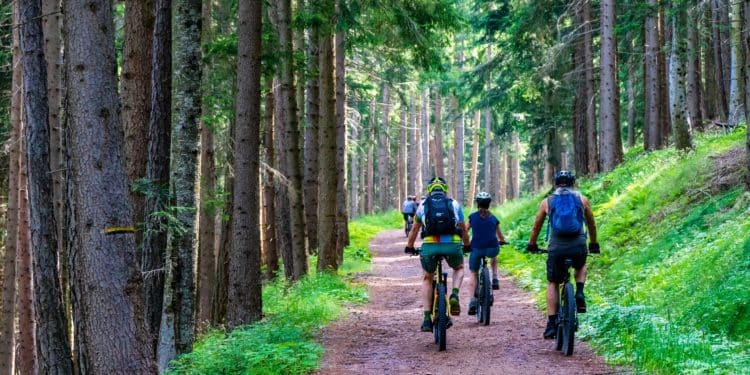 E-Bike und Nachhaltigkeit - wie passt das zusammen? - eBikeNews