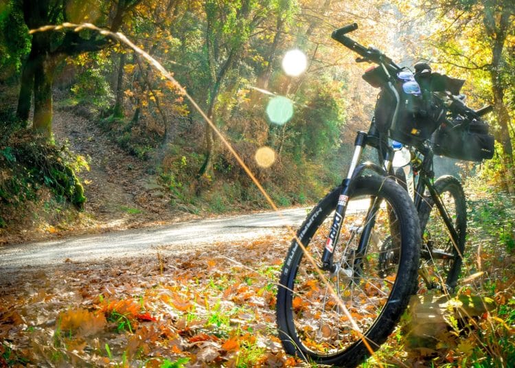 Trekking-E-Bike Cross - eBikeNews