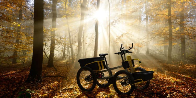 Bosch eBike Systems | Bosch-Antrieb | Cargo-E-Bike - 4forest im wald - ebike-news.de