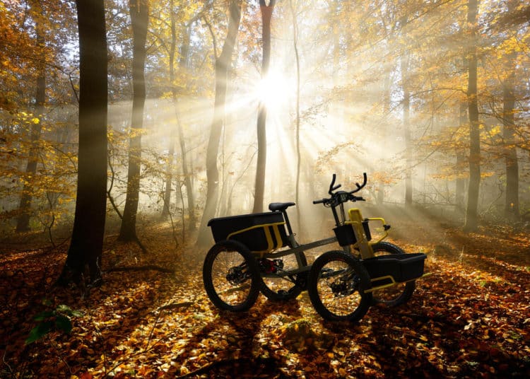 Bosch eBike Systems | Bosch-Antrieb | Cargo-E-Bike - 4forest im wald - eBikeNews