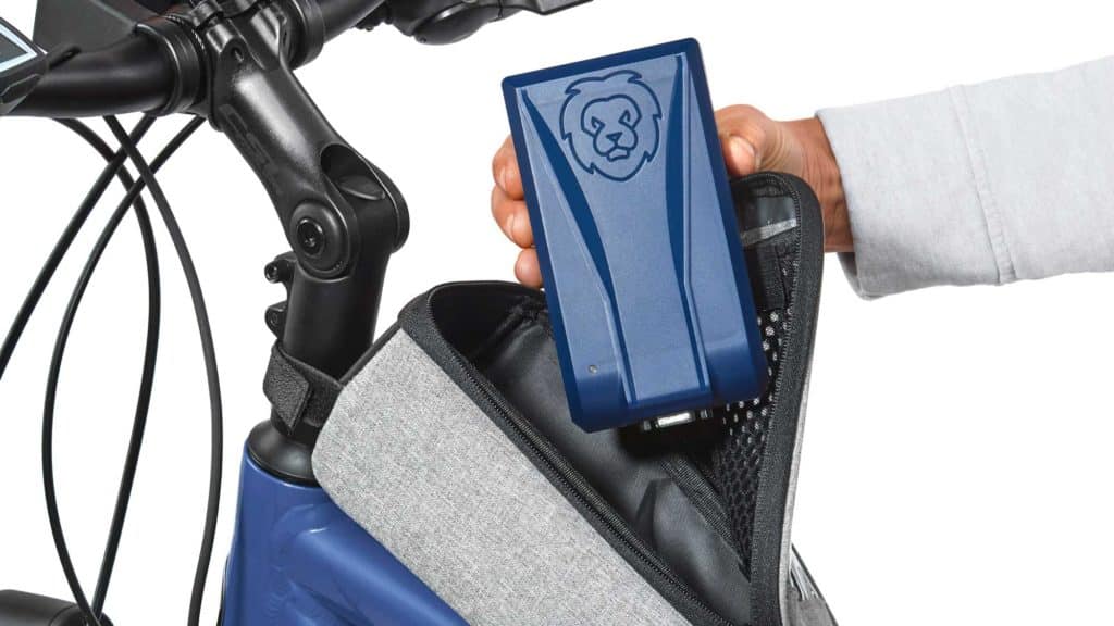 Größe LiON Smart E-Bike-Charger - eBikeNews