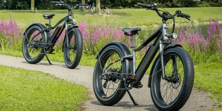 Bis zu 300 Euro sparen: Rad Power Bikes senkt die Preise - eBikeNews