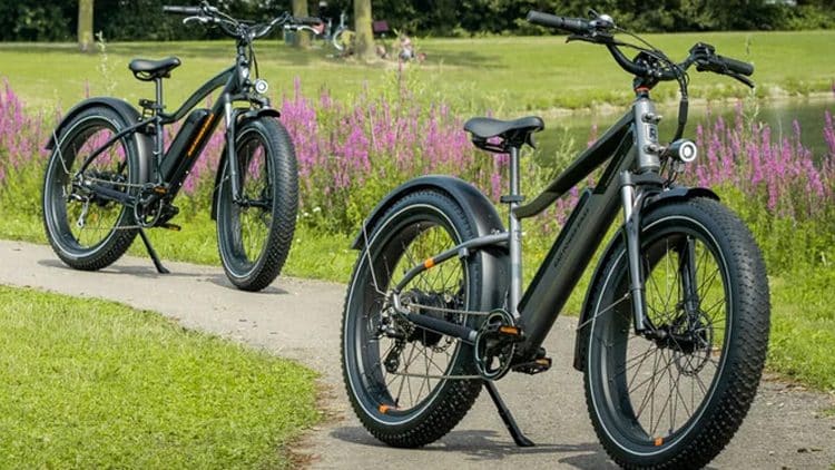 Bis zu 300 Euro sparen: Rad Power Bikes senkt die Preise - eBikeNews