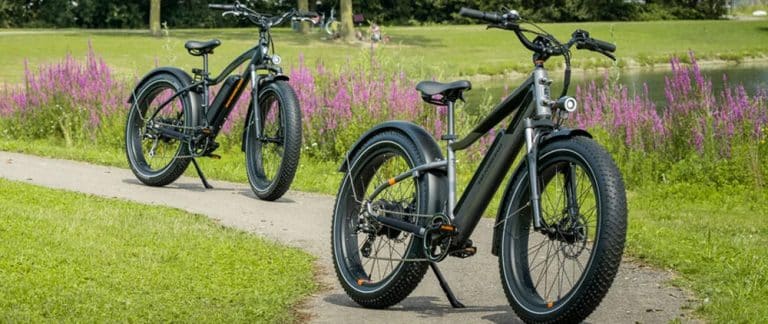 Bis zu 300 Euro sparen: Rad Power Bikes bietet Sommeraktion