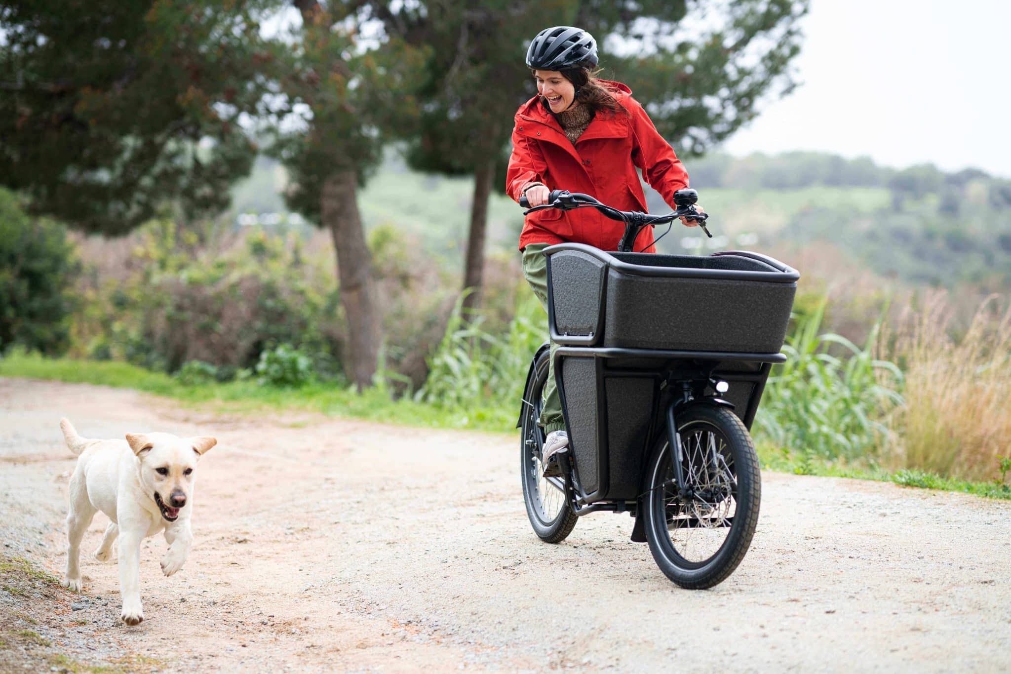 Rent an electronic cargo bike - eBikeNews