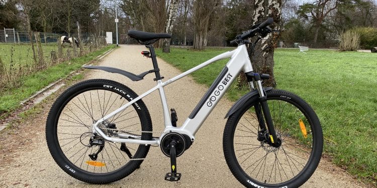 E-Bike Test Gogobest GM26