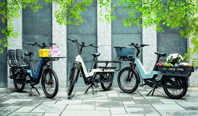 E-Bike aus Blech: E-Lastenrad aus der Schweiz trägt trotzdem 220 kg