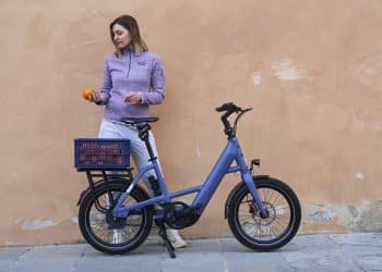 Das Momentum Compakt E+ von Giant - eBikeNews