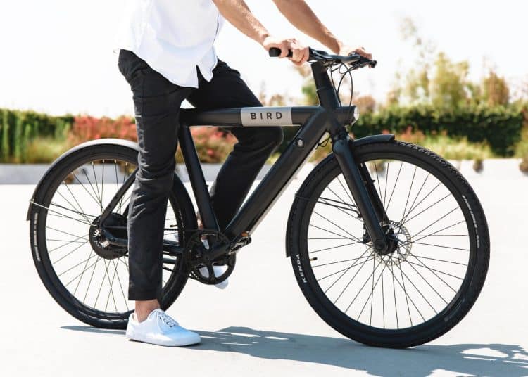 Das Bird Bike A-Frame – eBikeNews.