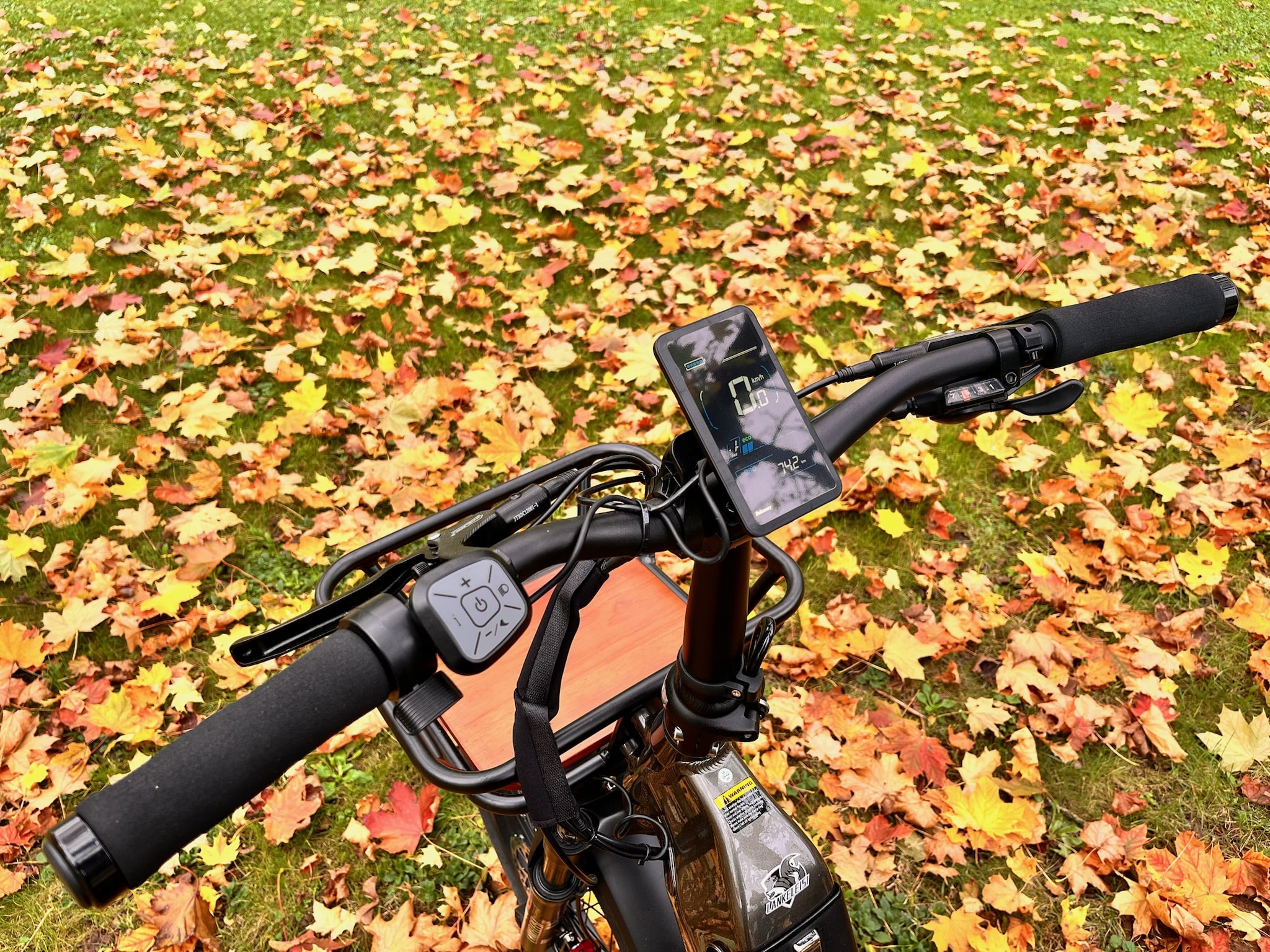 Cockpit Lankeleisi Wombat