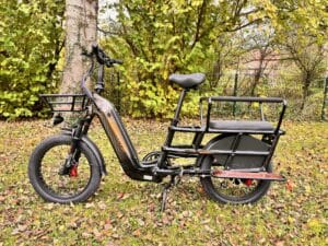 Lankeleisi Wombat: Flexibles Longtail E-Lastenrad im Test