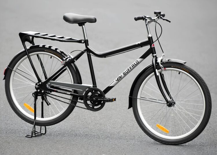 Das Buffalo Utility S2 mit Zwei-Ketten-Antrieb – eBikeNews.